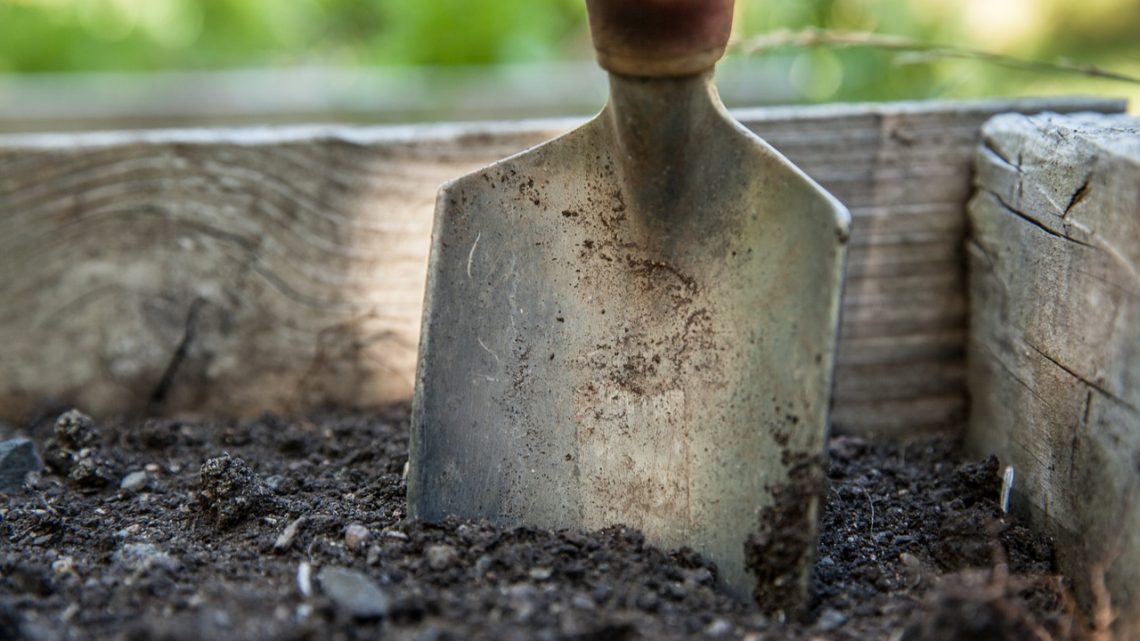 Nawozy do ogrodu – jak dobrać odpowiednie?