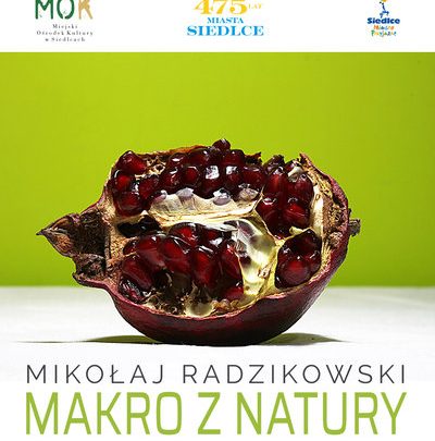 Makro z natury Wystawa fotografii Mikołaja Radzikowskiego